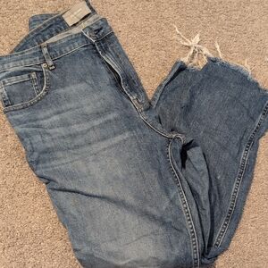 Everlane Blue Jeans with Worn-In Look